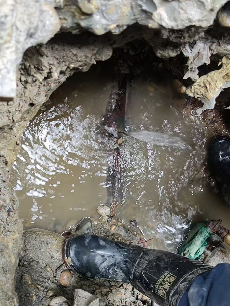 西安本地绿化水管漏水检测维修